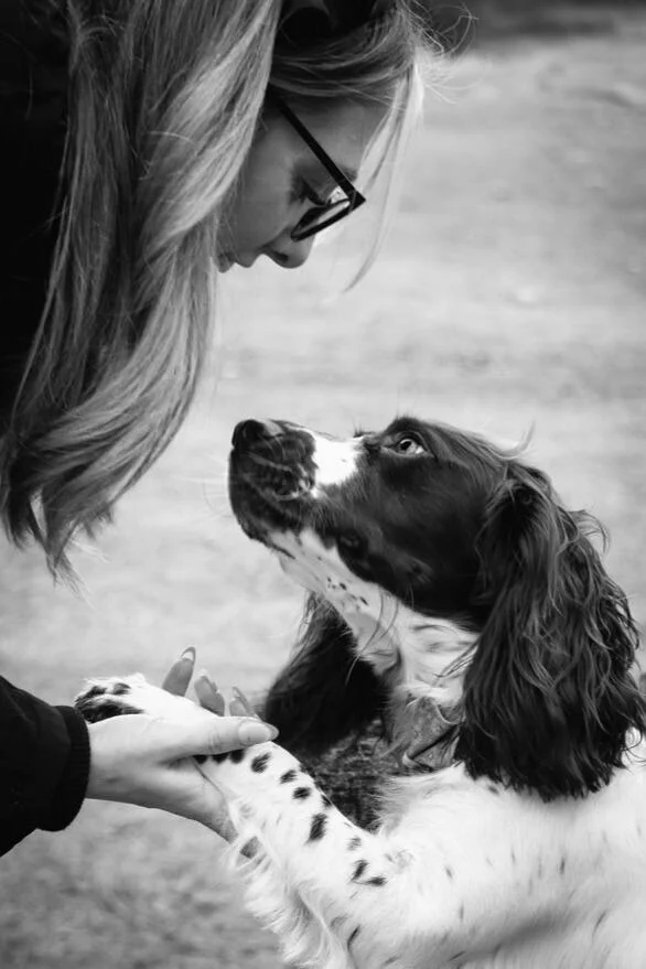 Dog owners spending time together as a community