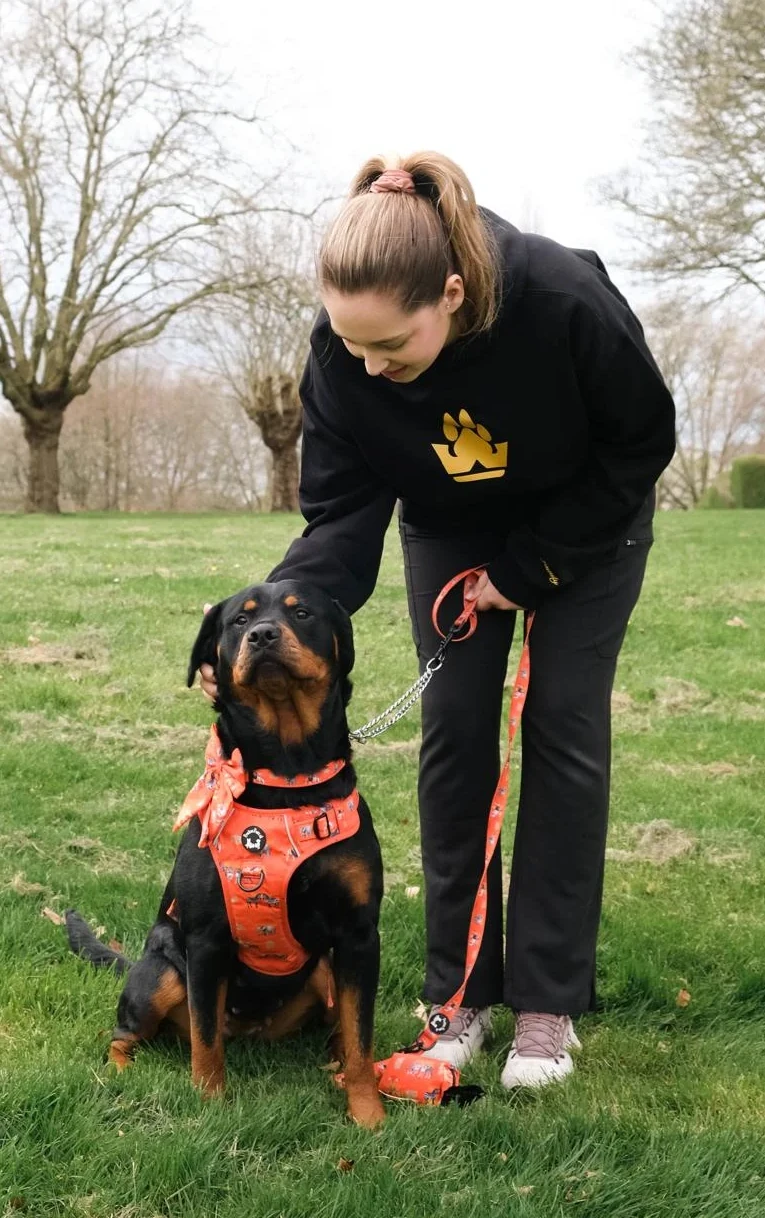 BarkBuddy presenting its mission and ideas
