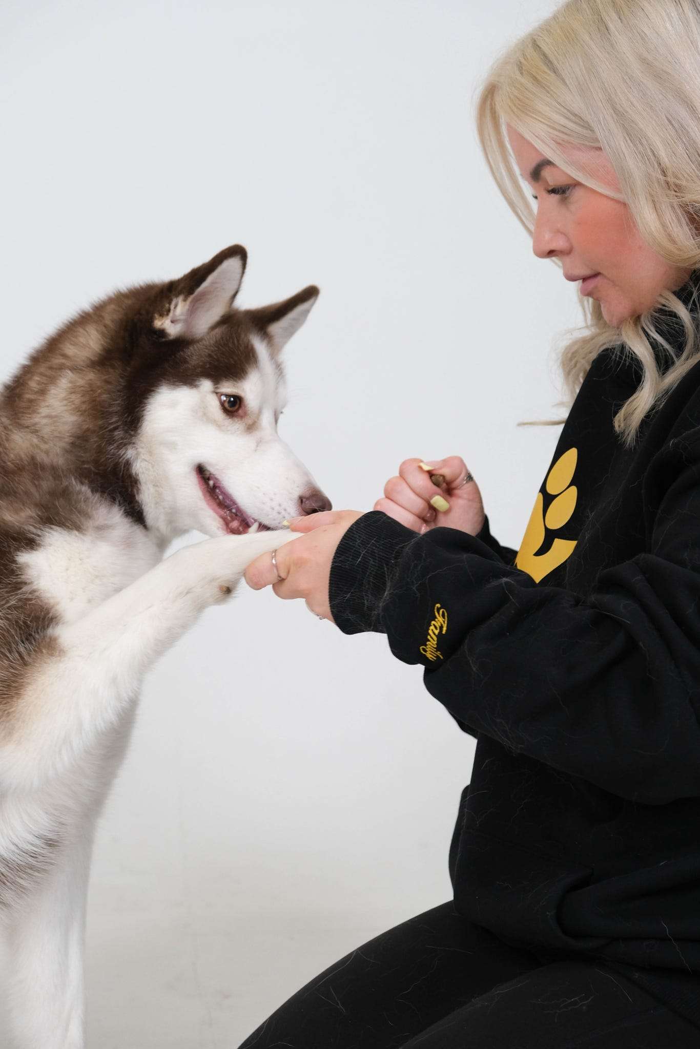 Dog trainer working with a dog