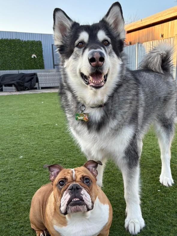 WhatsApp Image 2025-09-11 at 1.02.03 AM (2)