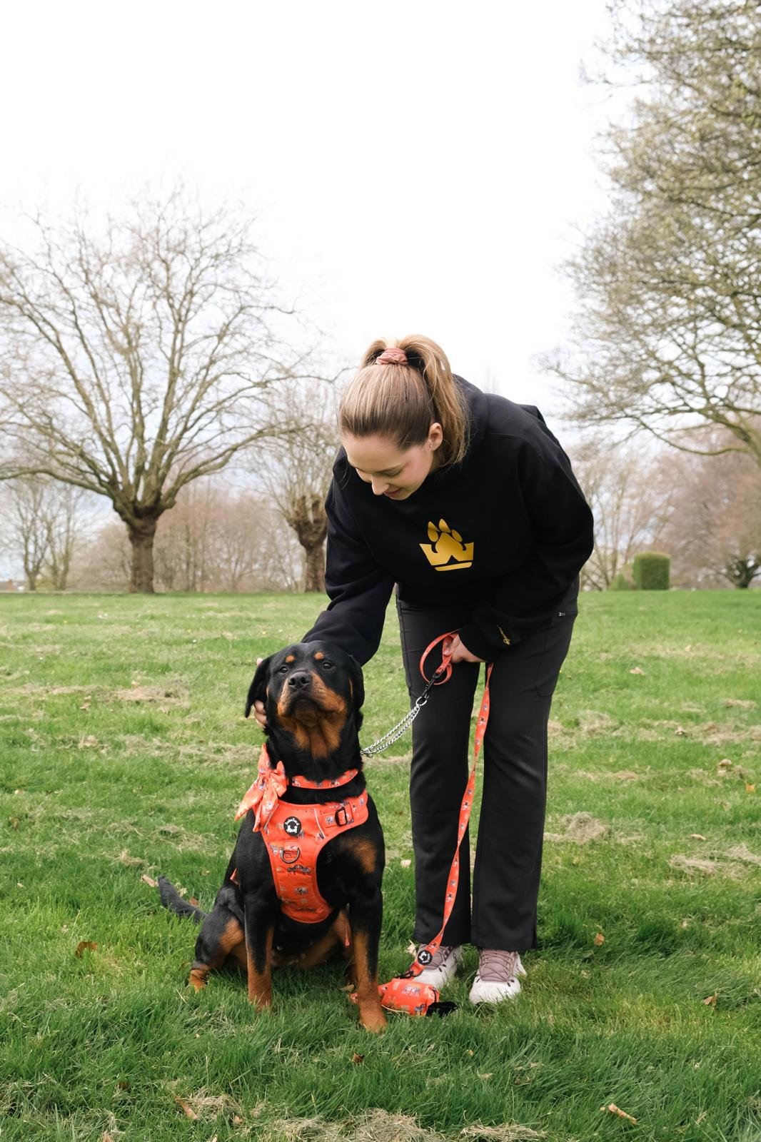 The BarkBuddy Daily Dog Walk Map
